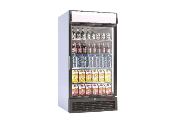 Single Door Visi Cooler